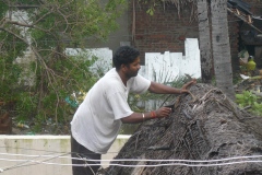 Cyclone Thane